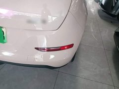 ORA Good Cat 2022 Morandi Edition 400km Standard Range Luxury Trim Ternary Lithium Battery - ფოტო 8