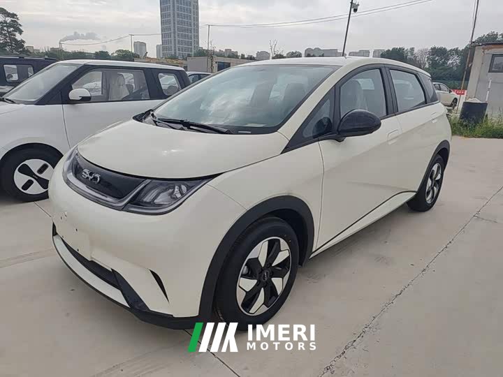 BYD Dolphin 2025 420km Freedom Edition - ავტომობილი ჩინეთიდან
