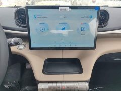 BYD Dolphin 2025 420km Freedom Edition - ფოტო 13