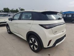 BYD Dolphin 2025 420km Freedom Edition - ფოტო 5