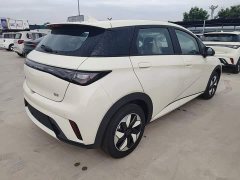 BYD Dolphin 2025 420km Freedom Edition - ფოტო 7