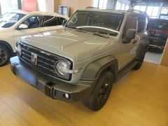 Tank 300 Off-Road Edition 2.0T Conqueror - ფოტო 1