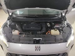 Buick GL8 New Energy Lusang Respect Edition - ფოტო 20