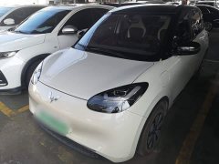 Wuling Binguo 333km Joy Edition - ფოტო 1