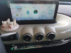 Wuling Binguo 333km Joy Edition - ფოტო 13