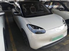 Wuling Binguo 333km Joy Edition - ფოტო 4