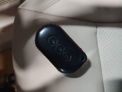 Wuling Kaje 2020 1.5T CVT Premier - ფოტო 9