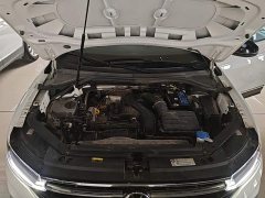 Volkswagen Tiguan L Outstanding Edition 300TSI Automatic FWD Dragon Ascendant Version - ფოტო 20