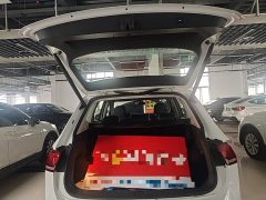 Volkswagen Tiguan L Outstanding Edition 300TSI Automatic FWD Dragon Ascendant Version - ფოტო 19