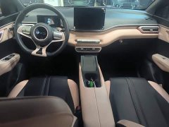 BYD Seagull Glory Edition 305km Freedom Version - ფოტო 10