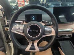 BYD Seagull Glory Edition 305km Freedom Version - ფოტო 11