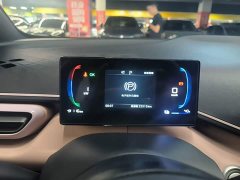 BYD Seagull Glory Edition 305km Freedom Version - ფოტო 12
