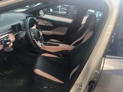 BYD Seagull Glory Edition 305km Freedom Version - ფოტო 15