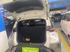 BYD Seagull Glory Edition 305km Freedom Version - ფოტო 19