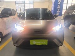 BYD Seagull Glory Edition 305km Freedom Version - ფოტო 3