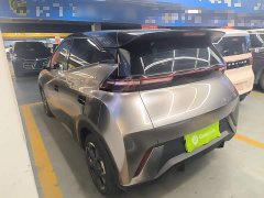BYD Seagull Glory Edition 305km Freedom Version - ფოტო 5