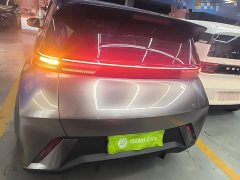 BYD Seagull Glory Edition 305km Freedom Version - ფოტო 6