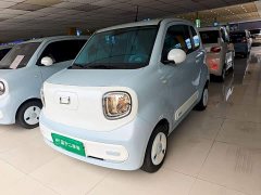 FAW Besturn Xiaoma 222km Dynamic Edition - ფოტო 1