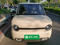 Geely Panda Mini 210km Vitality Edition - ფოტო 3