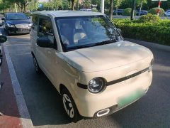 Geely Panda Mini 210km Vitality Edition - ფოტო 4