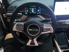 BYD Seagull Flying Edition - ფოტო 11