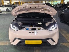 BYD Seagull Flying Edition - ფოტო 20