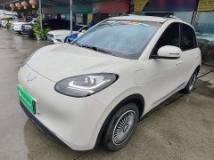 Wuling Binguo 203km Light Enjoy Edition - ფოტო 1