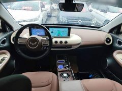 Wuling Binguo 203km Light Enjoy Edition - ფოტო 10