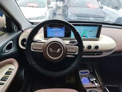 Wuling Binguo 203km Light Enjoy Edition - ფოტო 11