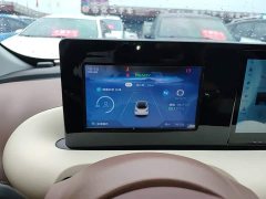 Wuling Binguo 203km Light Enjoy Edition - ფოტო 12