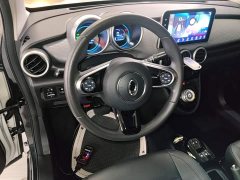 ORA Black Cat 351km Standard - ფოტო 11