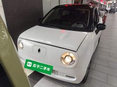 ORA Black Cat 351km Standard - ფოტო 3