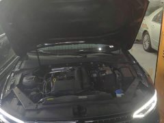 Volkswagen Magotan Popular Edition 280TSI DSG Comfort - ფოტო 20