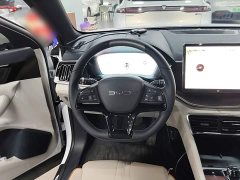 BYD Song Plus New Energy EV Glorious Edition 520km Luxury - ფოტო 11