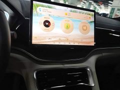 BYD Song Plus New Energy EV Glorious Edition 520km Luxury - ფოტო 13