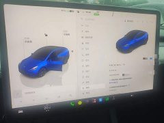 Tesla Model Y Rear-Wheel Drive - ფოტო 12
