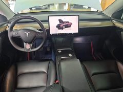 Tesla Model Y Rear-Wheel Drive - ფოტო 10