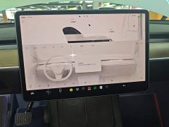 Tesla Model Y Rear-Wheel Drive - ფოტო 13
