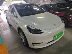 Tesla Model Y Rear-Wheel Drive - ფოტო 4