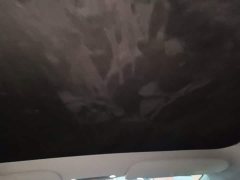 Tesla Model 3 Rear-Wheel Drive - ფოტო 18