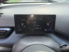 BYD Seagull 305km Freedom Edition - ფოტო 12