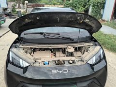 BYD Seagull 305km Freedom Edition - ფოტო 20