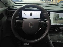 Leapmotor C11 2021 Luxury - ფოტო 11