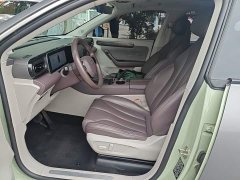 Leapmotor C11 2021 Luxury - ფოტო 15