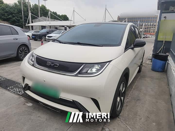BYD Dolphin 2025 420km Fashion Edition - ავტომობილი ჩინეთიდან