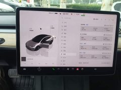 Tesla Model 3 2022 Rear-Wheel Drive - ფოტო 12