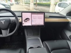 Tesla Model 3 2022 Rear-Wheel Drive - ფოტო 13