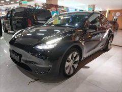 Tesla Model Y Long Range All-Wheel Drive 3D7 - ფოტო 1
