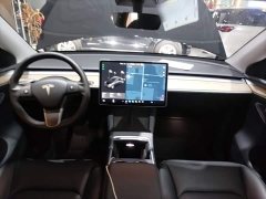 Tesla Model Y Long Range All-Wheel Drive 3D7 - ფოტო 10