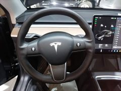 Tesla Model Y Long Range All-Wheel Drive 3D7 - ფოტო 11